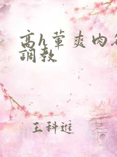 高h荤爽肉欲文调教