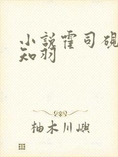 小说霍司砚与温知羽