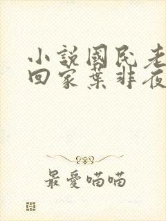 小说国民老公带回家叶非夜