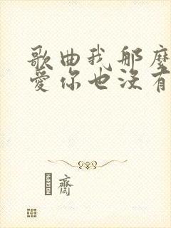 歌曲我那么那么爱你也没有用歌词