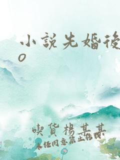 小说先婚后爱po