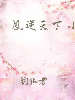 凤逆天下 小说