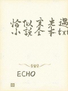 恰似寒光遇骄阳小说全本txt下载