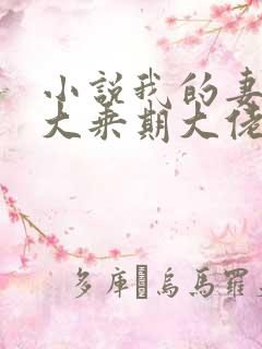 小说我的妻子是大乘期大佬txt下载