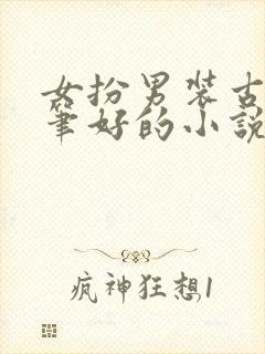 女扮男装古言文笔好的小说推荐