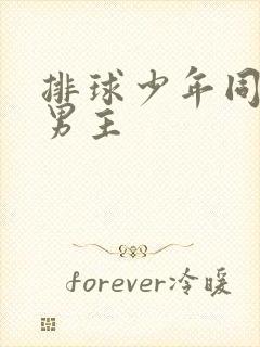 排球少年同人文男主