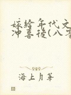 嫁给年代文大佬冲喜后(八零)四单铺