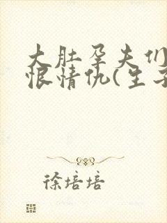 大肚孕夫们的爱恨情仇(生子