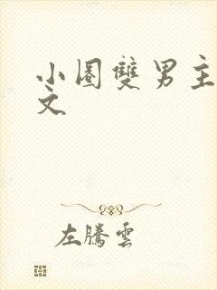 小圈双男主训诫文