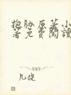 抱胁原著小说原著免费阅读