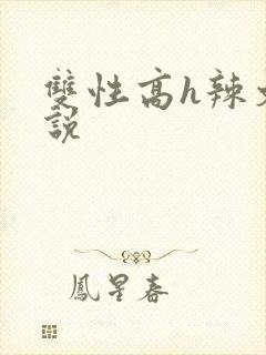 双性高h辣文小说