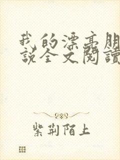 我的漂亮朋友小说全文阅读