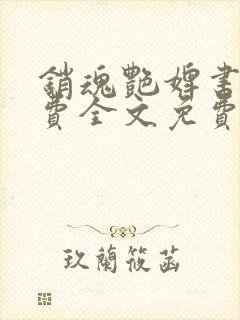 销魂艳婢书包免费全文免费阅读