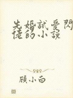 先婚试爱闪婚大佬的小说