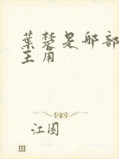 叶楚是哪部小说主角