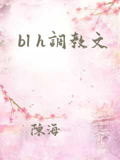 bl h调教文