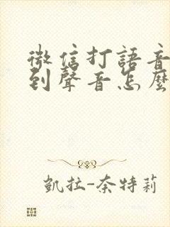 微信打语音听不到声音怎么办