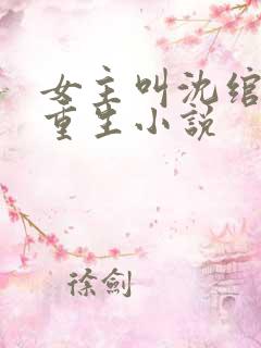 女主叫沈绾绾的重生小说