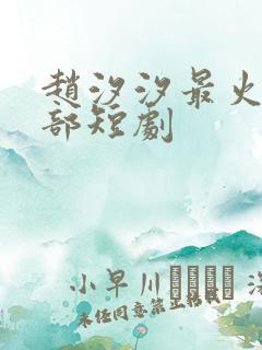 赵汐汐最火的十部短剧