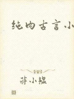 纯肉古言小说