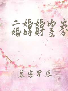 二婚婚内出轨离婚时财产分割