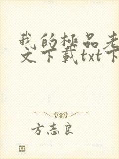 我的极品老婆全文下载txt下载