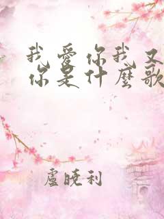 我爱你我又错过你是什么歌