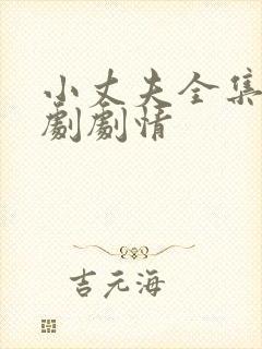 小丈夫全集电视剧剧情