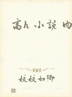 高h 小说 肉