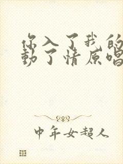 你入了我的心我动了情原唱歌词