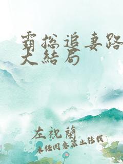 霸总追妻路漫漫大结局