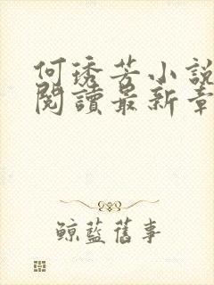 何琇芳小说免费阅读最新章节