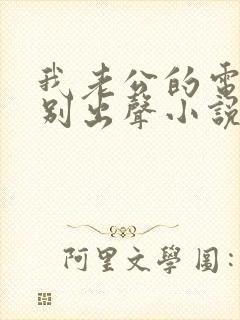 我老公的电话你别出声小说