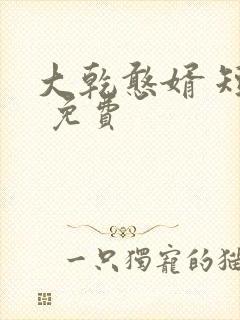 大乾憨婿 短剧 免费