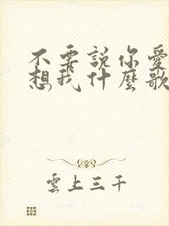 不要说你爱我你想我什么歌