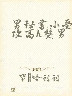 男秘书小受引诱攻高h双男