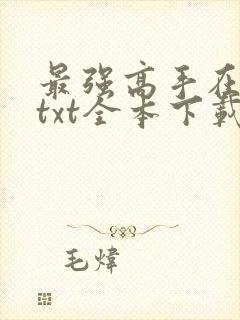 最强高手在都市txt全本下载