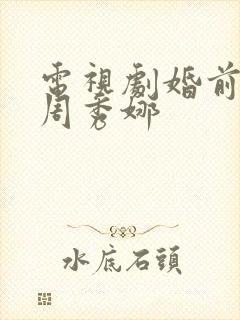 电视剧婚前试爱周秀娜