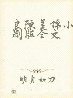 良陈美锦小说未删版全文