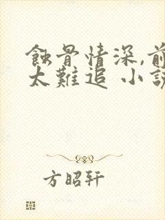 蚀骨情深,前妻太难追 小说下载