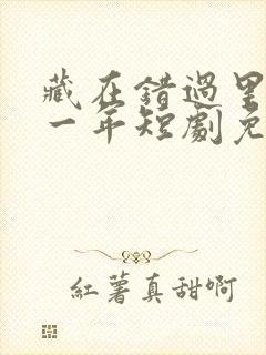 藏在错过里的十一年短剧免费观看