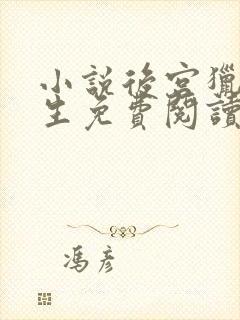 小说后宫猎艳重生免费阅读