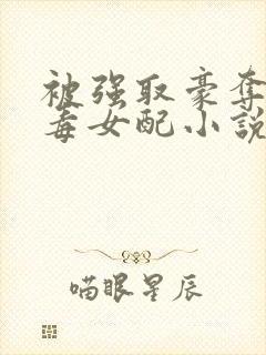 被强取豪夺的恶毒女配小说