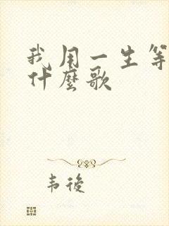 我用一生等你是什么歌