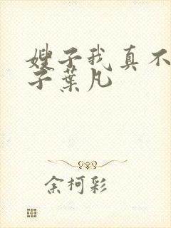 嫂子我真不是傻子叶凡