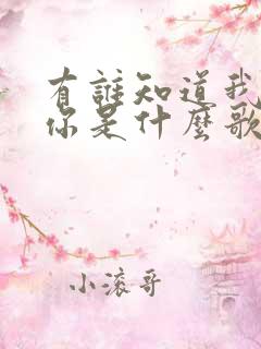 有谁知道我在等你是什么歌