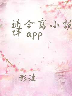 适合写小说的软件 app