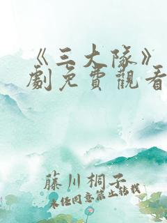 《三大队》电视剧免费观看完整版