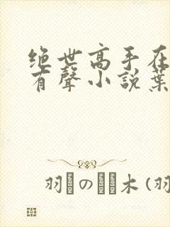 绝世高手在都市有声小说叶寻免费听