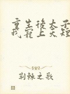 重生后太子爷把我宠上天短剧在线观看